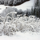 029_bearbeitet-3_jpg-1290098420