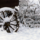 048_bearbeitet-3_jpg-1290098579