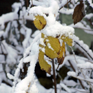 064_bearbeitet-3_jpg-1290098626