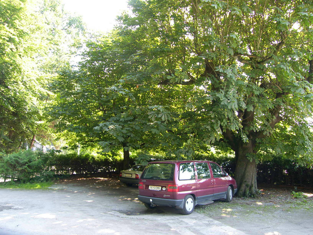 Kapf-Garten_JPG-1290150643