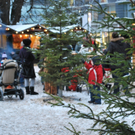 DSC_0145.jpg