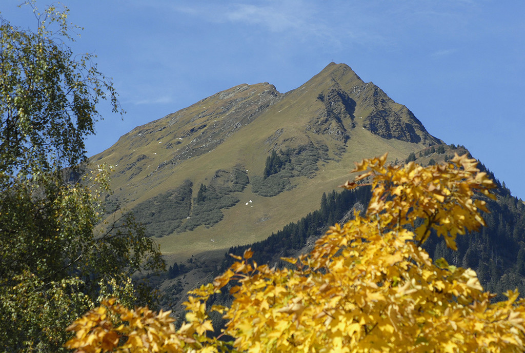 _DSC0041 Kopie_jpg-1290158392