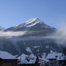 219_bearbeitet-2_jpg-1290159515