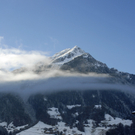 241_bearbeitet-1_jpg-1290159766