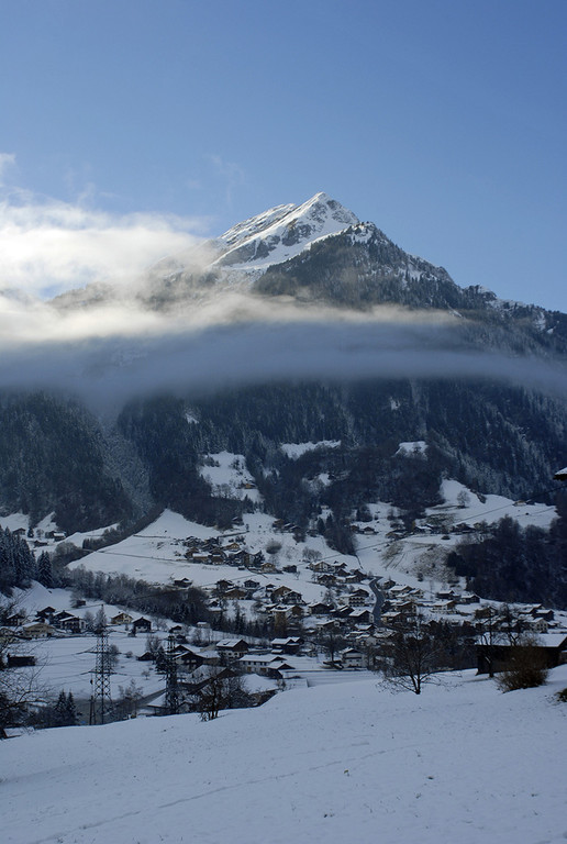 241_bearbeitet-1_jpg-1290159766
