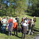 Steinkreise-75.JPG