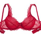 Palmers_Delicate Lace_B__gelBH gef__ttert.jpg