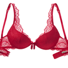 Palmers_Delicate Lace_PushUpBH.jpg
