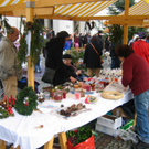 IMG_7053.JPG