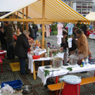 IMG_7059.JPG