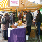 IMG_7125.JPG