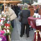 IMG_7128.JPG