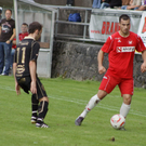 streitler titel_jpg-1290243597