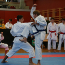 karate lustenau_JPG-1290253597