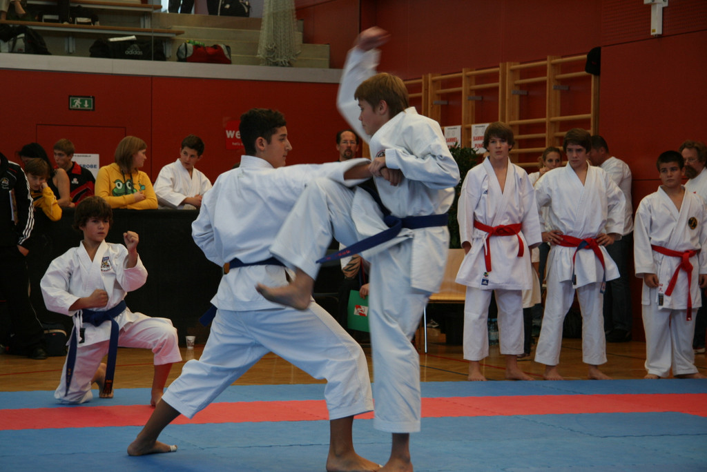 karate lustenau_JPG-1290253597