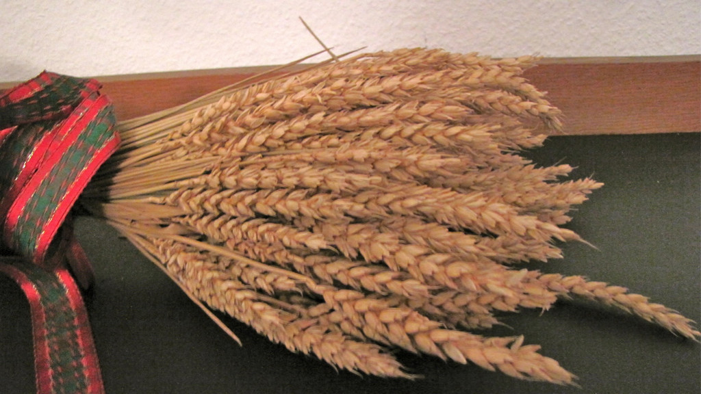 KOE_Exkursion Vorarlberg Mehl 4_jpg-1290261849