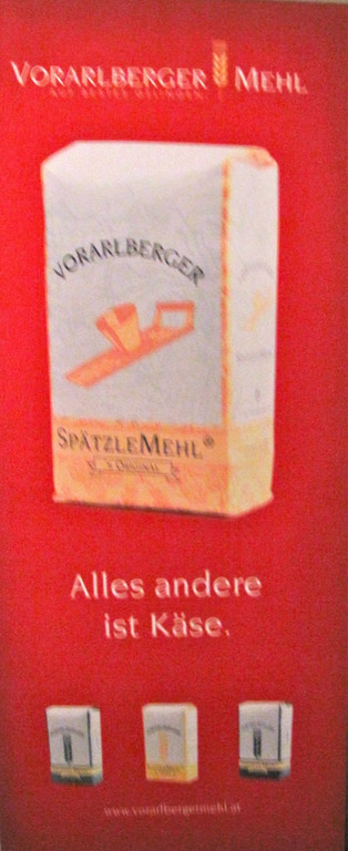 KOE_Exkursion Vorarlberg Mehl 12_jpg-1290261908