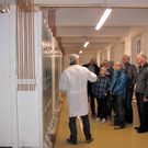 KOE_Exkursion Vorarlberg Mehl 37_jpg-1290262100