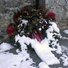 123_bearbeitet-1_jpg-1290285488