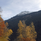 645_bearbeitet-1_jpg-1290287738