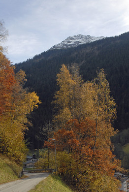 645_bearbeitet-1_jpg-1290287738