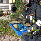 normal_211120091130uhrbrandrlaktivnews.jpg