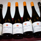 Wein Gut Kost Reiner 2010 _36__jpg-1290349798