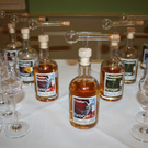 Wein Gut Kost Reiner 2010 _35__jpg-1290349786