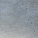 SH105958_JPG-1290351089