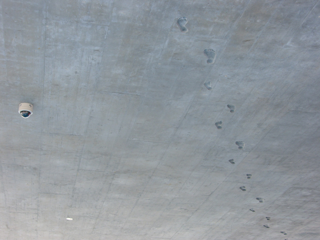 SH105958_JPG-1290351089