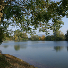 jannersee01_jpg-1290362752