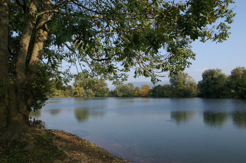jannersee01_jpg-1290362752