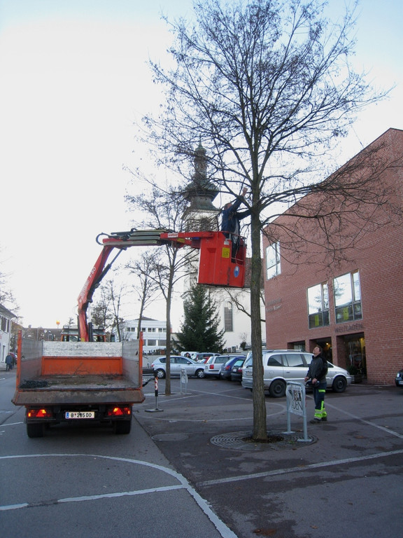 W-Beleuchtung Entzuendung 2009 _5__jpg-1290364529