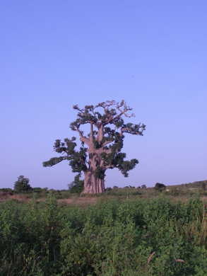 25.JPG