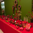 Blumen Waibel