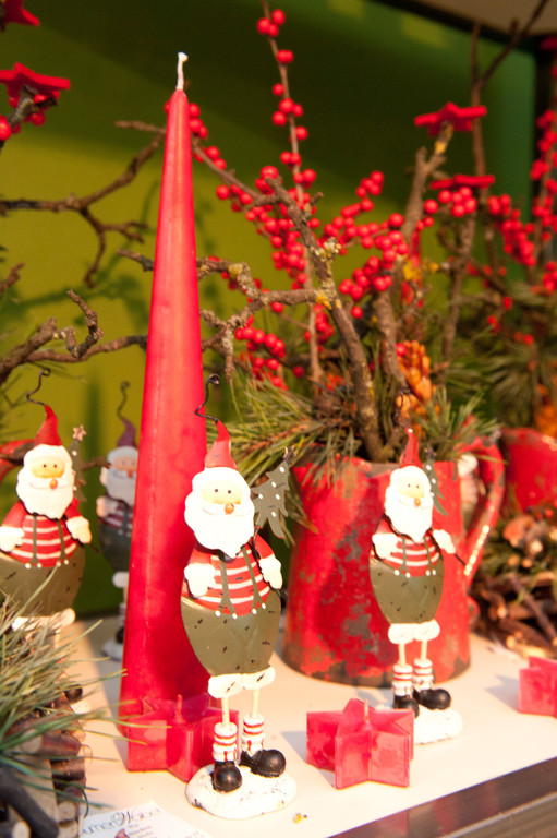 DSC_6564_jpg-1290377984