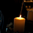 DSC_6600_jpg-1290378466