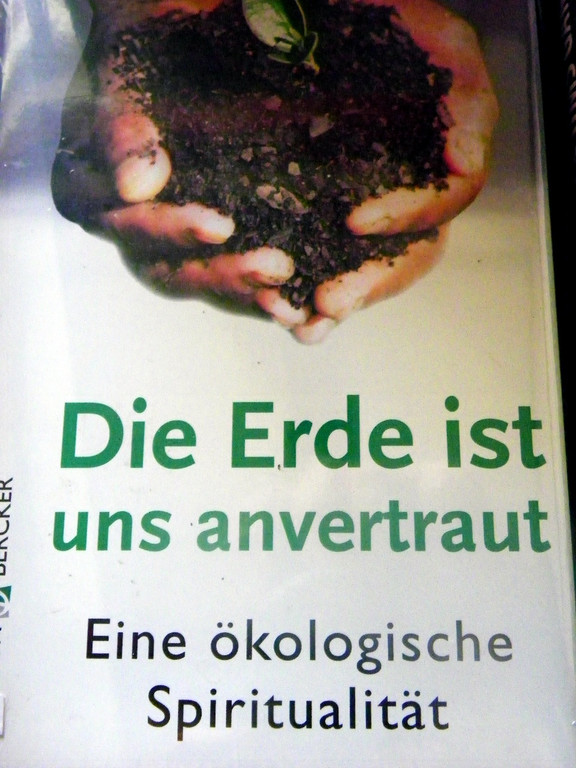 Bild 008_jpg-1290385428