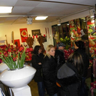 Bild 594_jpg-1290387418
