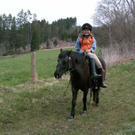 reiten.jpg