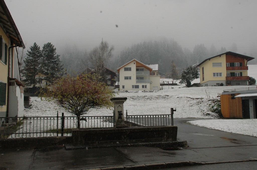 DSC_5052.JPG