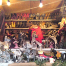 markt01_jpg-1290439982