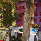 Bild 511_jpg-1290462812