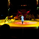 DSC_6865_jpg-1290495534