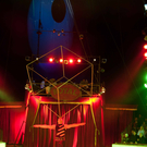 DSC_6960_jpg-1290495560
