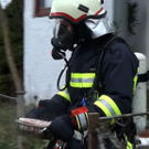 geschirr 3.jpg