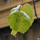 026_bearbeitet-1_jpg-1290513030