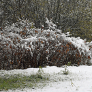 170_bearbeitet-1_jpg-1290514199