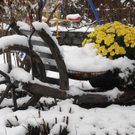 202_bearbeitet-1_jpg-1290514466