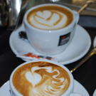 www_cappomio_at.jpg